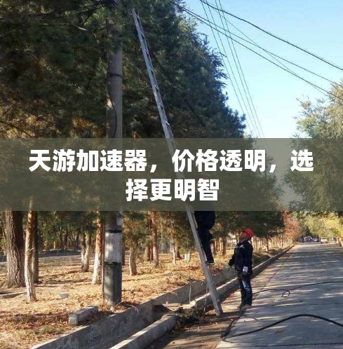 天游加速器，价格透明，选择更明智