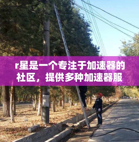 r星是一个专注于加速器的社区，提供多种加速器服务。以下是r星免费加速器的详细信息