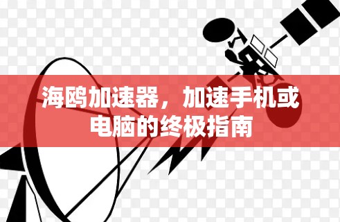 海鸥加速器，加速手机或电脑的终极指南