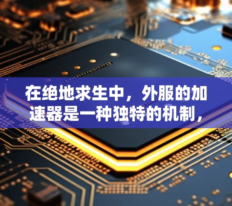 在绝地求生中，外服的加速器是一种独特的机制，玩家可以通过添加加速器来提升移动速度和资源获取。以下是对外服加速器的详细分析