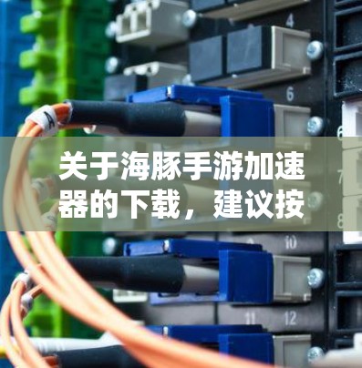 关于海豚手游加速器的下载，建议按照以下步骤进行
