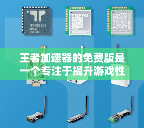王者加速器的免费版是一个专注于提升游戏性能的工具，适用于英雄联盟、CS:GO等游戏。它提供多种功能，包括缓存调整、模式设置和缓存优化，旨在减少延迟并提升体验。以下是对免费版王者加速器的详细介绍