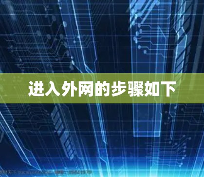 进入外网的步骤如下