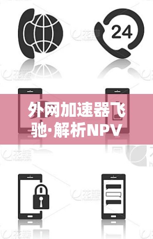 外网加速器飞驰·解析NPV值