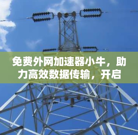 免费外网加速器小牛,助力高效数据传输,开启数字世界的新篇章 免费外网加速器小牛,助力高效数据传输,开启数字世界的新篇章
