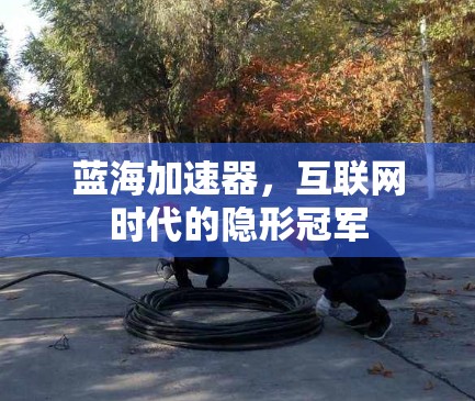 蓝海加速器，互联网时代的隐形冠军