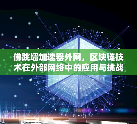 佛跳墙加速器外网，区块链技术在外部网络中的应用与挑战