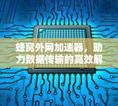 蜂窝外网加速器,助力数据传输的高效解决方案 蜂窝外网加速器,助力数据传输的高效解决方案