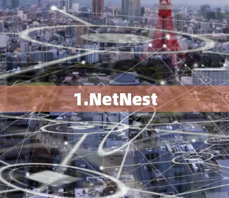 1.NetNest 1.NetNest