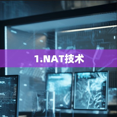 1.NAT技术 1.NAT技术