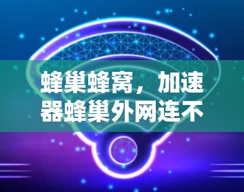 蜂巢蜂窝，加速器蜂巢外网连不上问题分析及解决方案