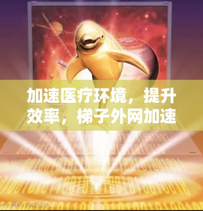 加速医疗环境，提升效率，梯子外网加速器实用指南
