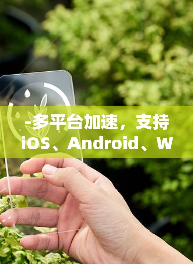 -多平台加速，支持iOS、Android、Windows、Mac等多种设备