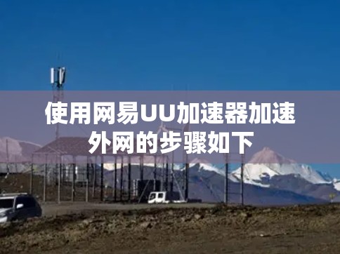 使用网易UU加速器加速外网的步骤如下