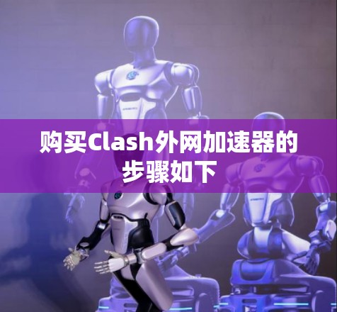 购买Clash外网加速器的步骤如下 购买Clash外网加速器的步骤如下