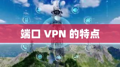 端口 VPN 的特点 端口 VPN 的特点