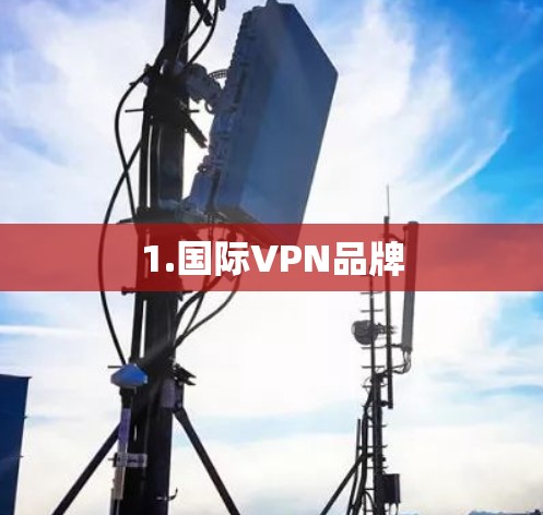 1.国际VPN品牌