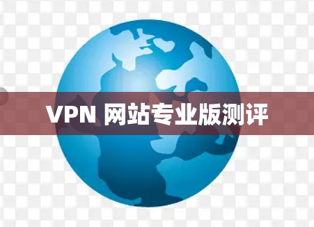 VPN 网站专业版测评
