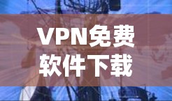 VPN免费软件下载，选择与使用指南
