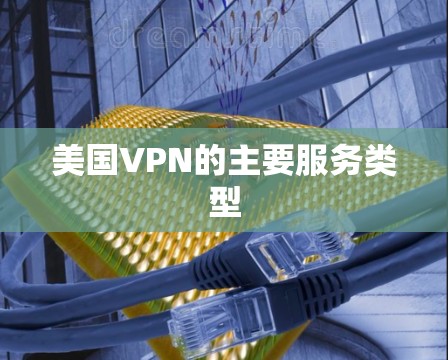 美国VPN的主要服务类型