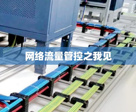 网络流量管控之我见
