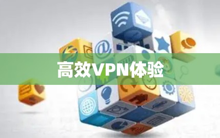 高效VPN体验