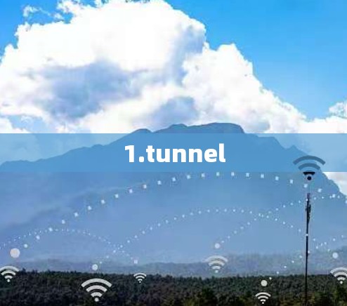 1.tunnel