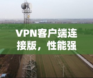 VPN客户端连接版,性能强劲,安全可靠,轻松连接 VPN客户端连接版,性能强劲,安全可靠,轻松连接