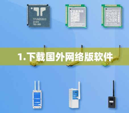 1.下载国外网络版软件 1.下载国外网络版软件