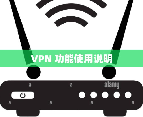 VPN 功能使用说明