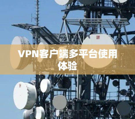 VPN客户端多平台使用体验