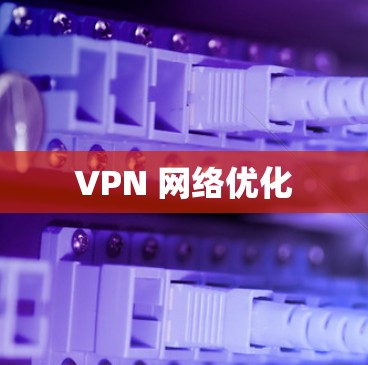 VPN 网络优化