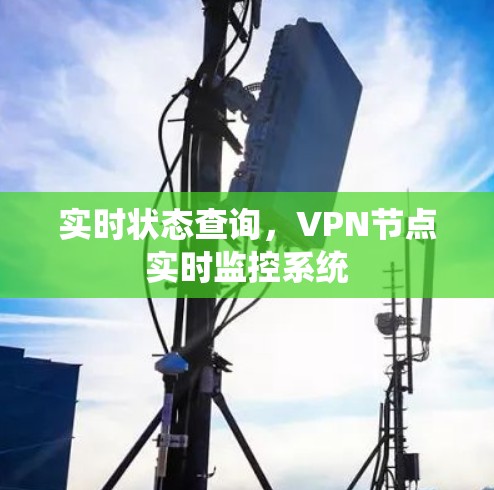 实时状态查询，VPN节点实时监控系统