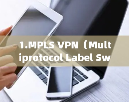 1.MPLS VPN（Multiprotocol Label Switching Protocol VPN）