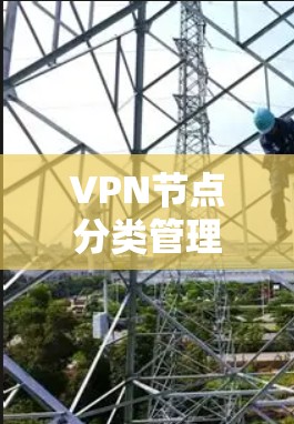 VPN节点分类管理是保障网络安全的重要步骤，以下是详细的步骤指南