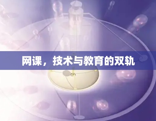 网课，技术与教育的双轨