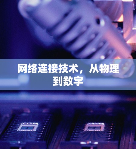 网络连接技术，从物理到数字