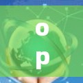 optimizing your VPN connection:tips for secure and reliable VPN services