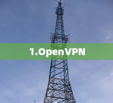 1.OpenVPN 1.OpenVPN