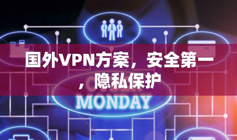 国外VPN方案，安全第一，隐私保护