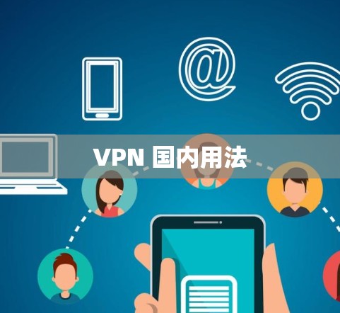 VPN 国内用法