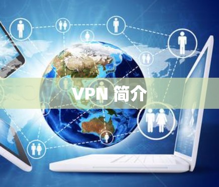 VPN 简介