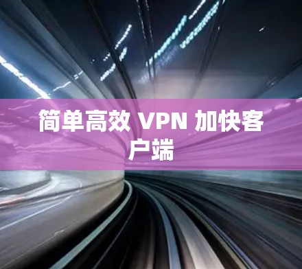 简单高效 VPN 加快客户端