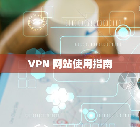 VPN 网站使用指南