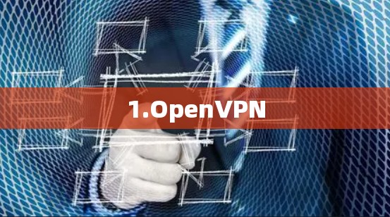 1.OpenVPN