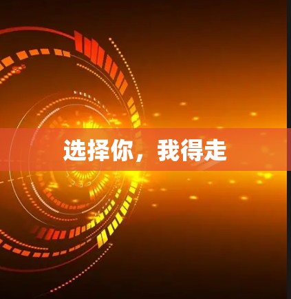 选择你，我得走