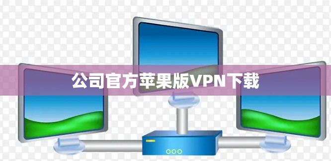 公司官方苹果版VPN下载
