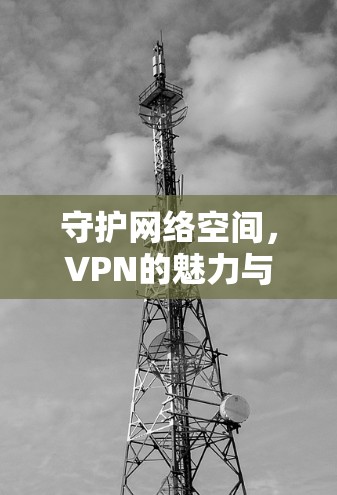 守护网络空间，VPN的魅力与未来挑战
