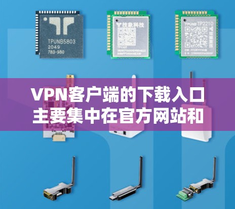 VPN客户端的下载入口主要集中在官方网站和可信的第三方网站上，以下是几种常见的下载入口
