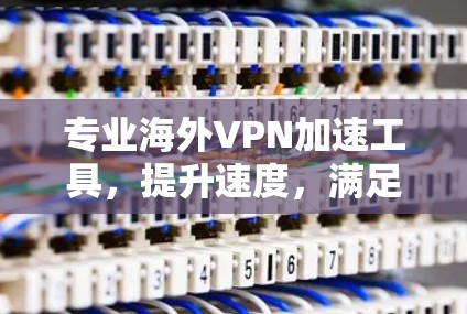 专业海外VPN加速工具，提升速度，满足需求